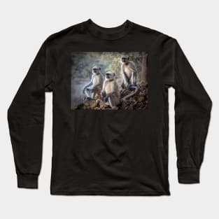 Three Gray Langur monkeys sitting Long Sleeve T-Shirt